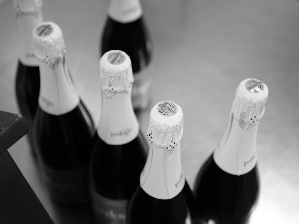 The art of Cava