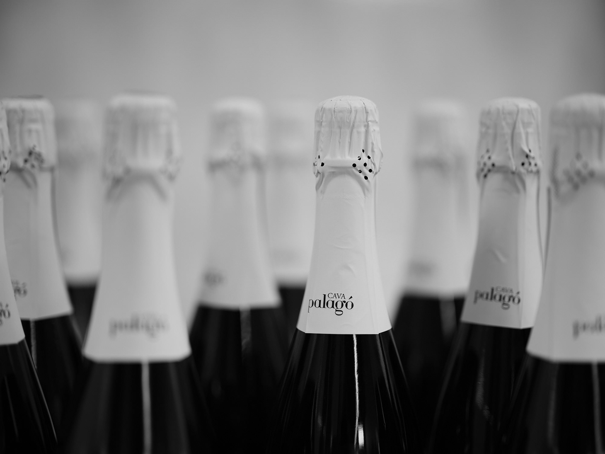 The art of Cava