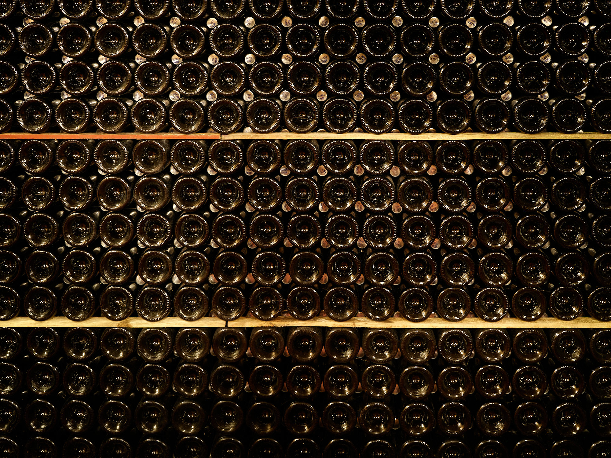 The art of Cava