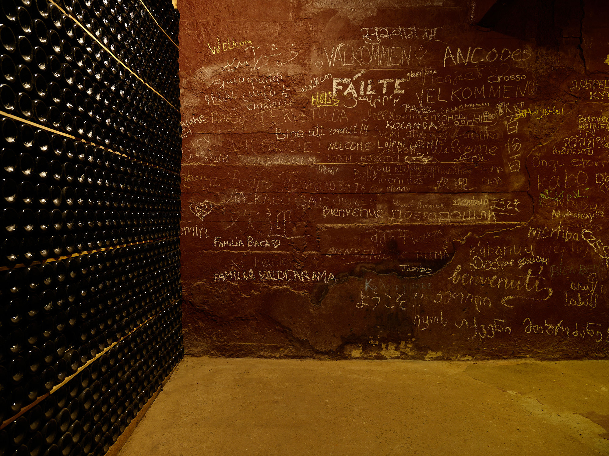 The art of Cava